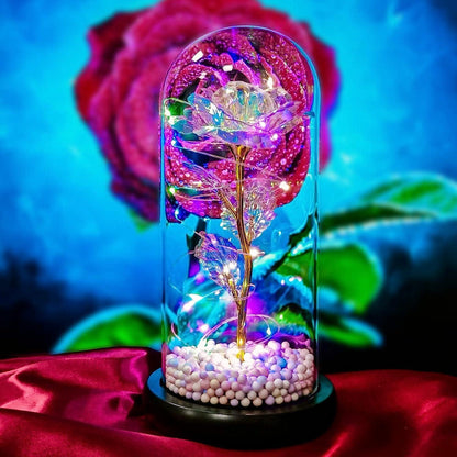 Forever Glow Rose