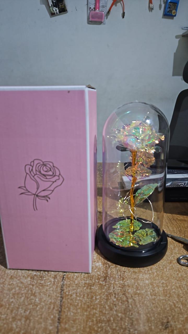 Forever Glow Rose